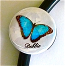 Fabulous Butterfly