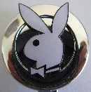 Fun Playboy Bunny